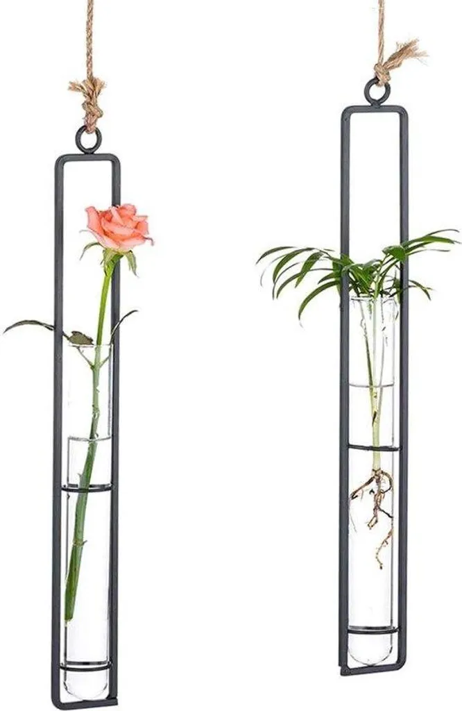Pots de fleurs suspendus en métal transparent pour salon moderne Chic