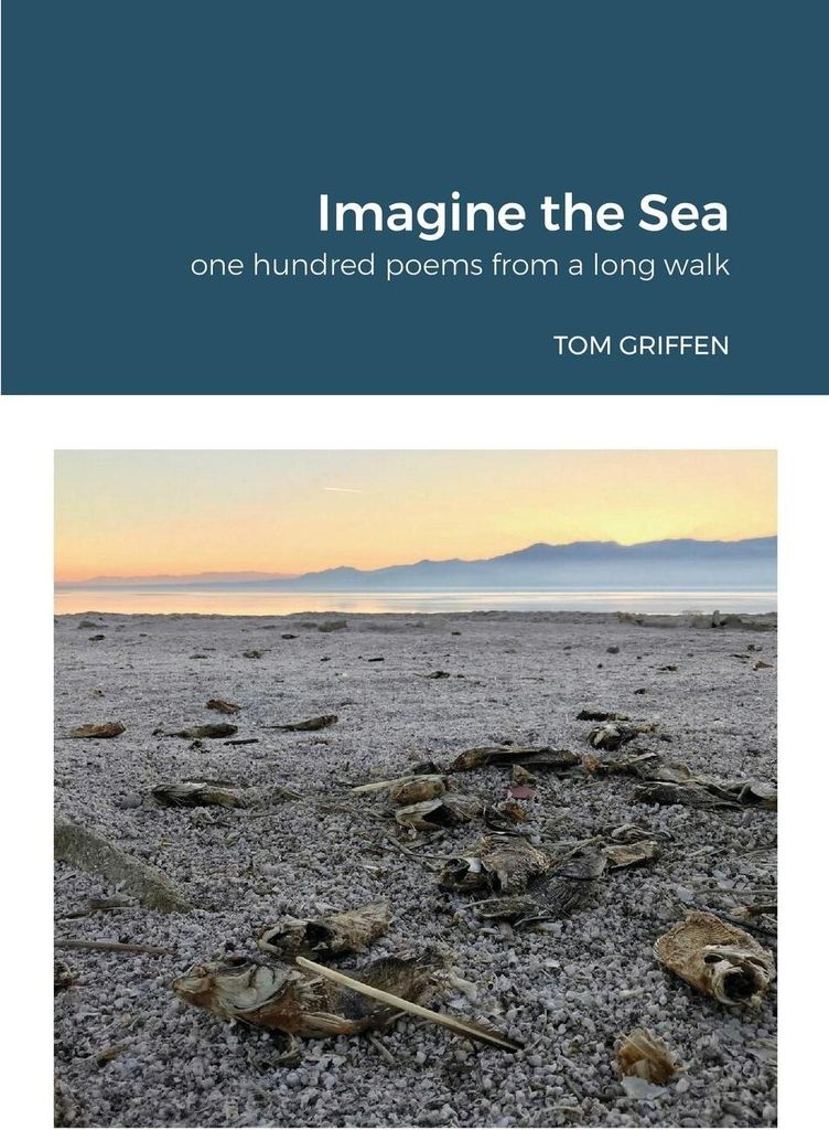 Imagine the Sea