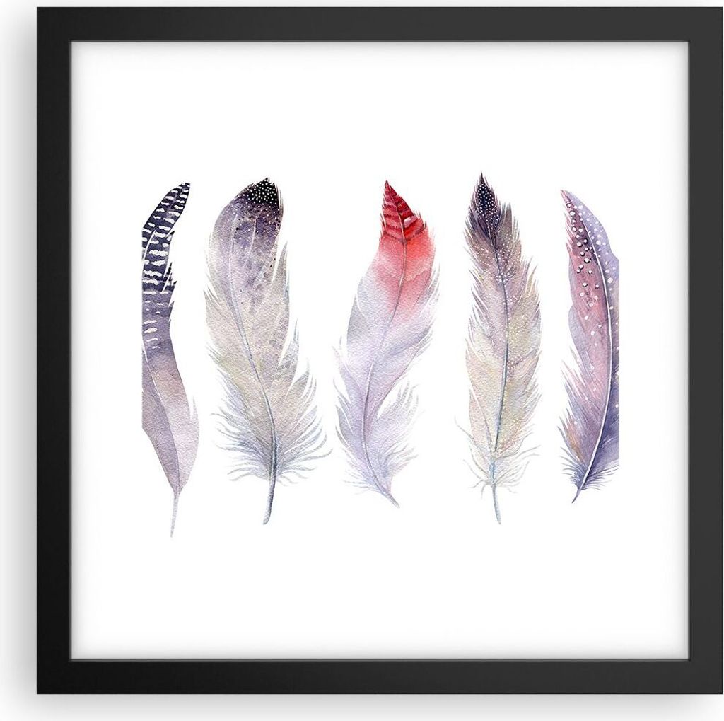 Gerahmtes Poster - Schwarzer Rahmen - Feder Tier Vogel Komposition - 30x30 cm - Wand Bild - Wanddeko - Wandbilder - Wandposter - Bilderrahmen - Bil...