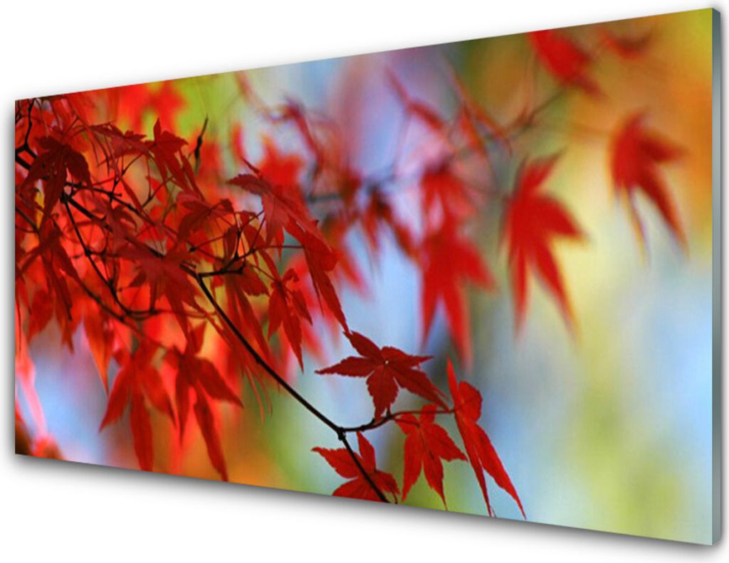 Küchenrückwand aus Glas 100x50cm Spritzschutz Blätter Natur