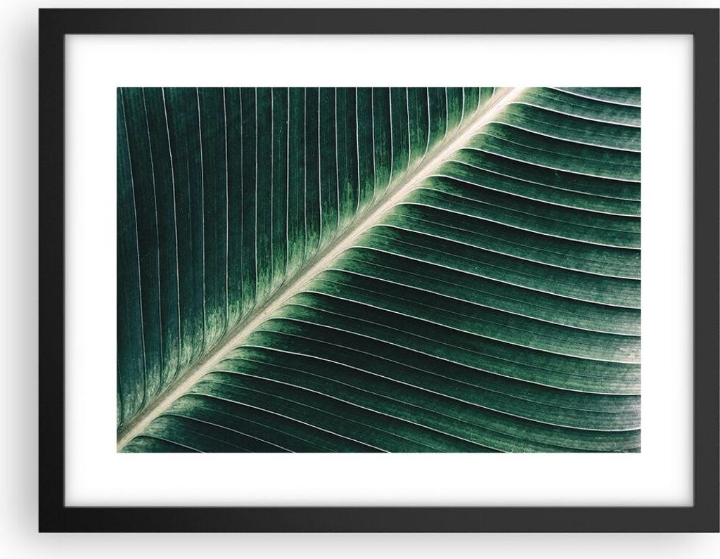 Gerahmtes Poster - Schwarzer Rahmen - Grün Blatt Tropisch - 40x30 cm - Wand Bild - Wanddeko - Wandbilder - Kunstposter - Wandposter - Bilderrahmen...