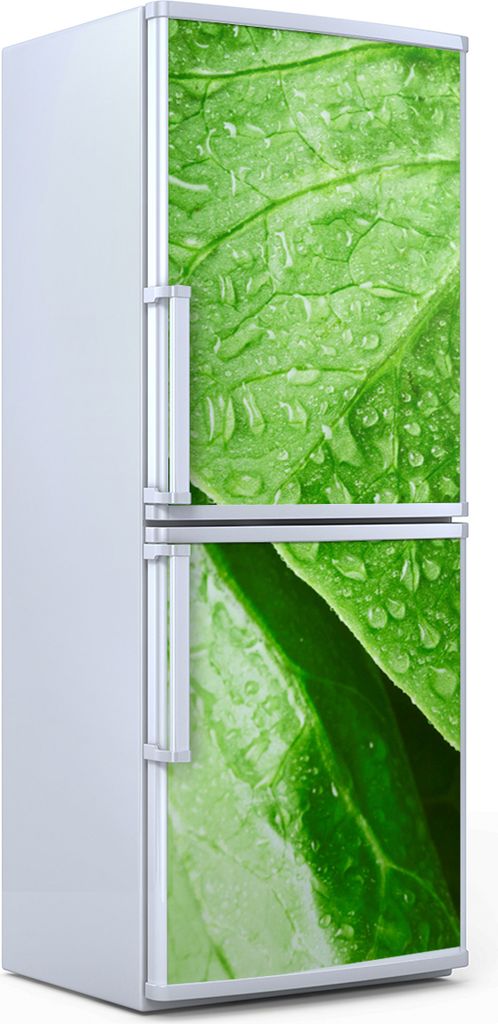 Kühlschrankdekoration 60x180 cm Aufkleber auf dem Kühlschrank - Salat Blätter
