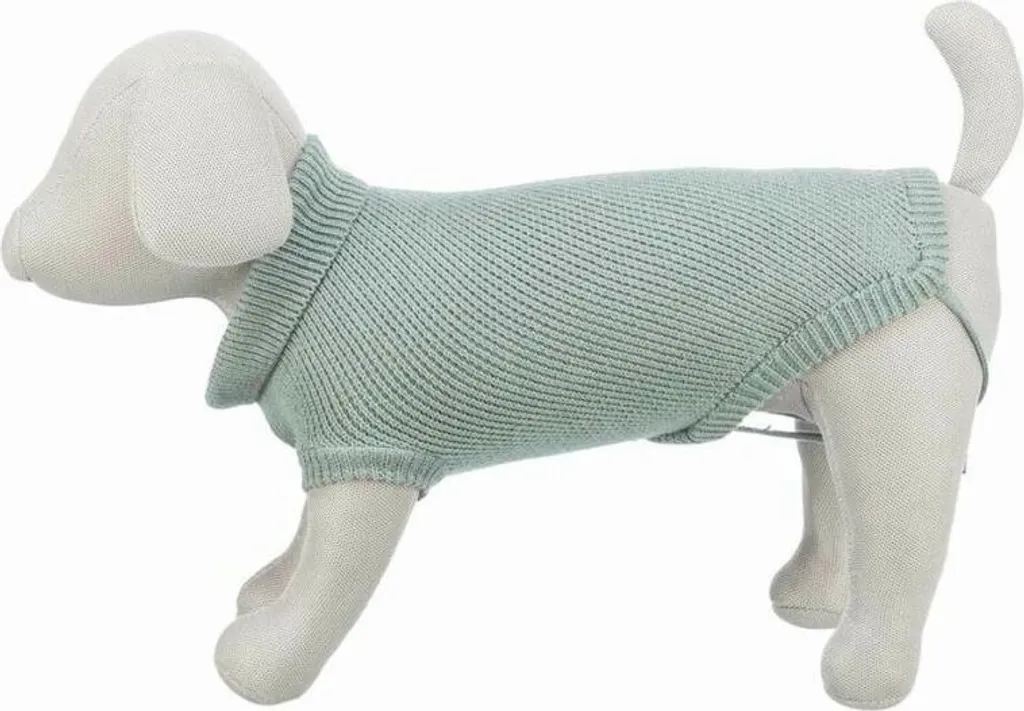 CityStyle Berlino Maglione Salvia: Outfit Pet di Tendenza 2026 - 6