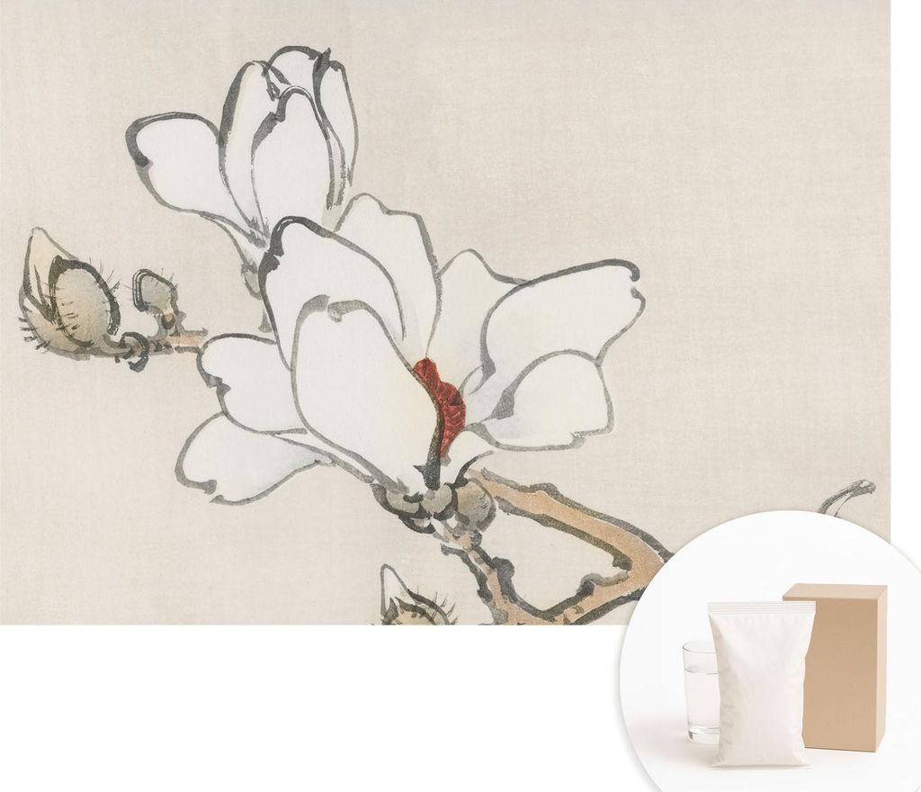Fototapete - Wandbilder für Wohnzimmer - 208x146 cm - Dekorative Wandfolie - Modernes Design für Wanddekoration - Tapeten für Innenräume - Zart...