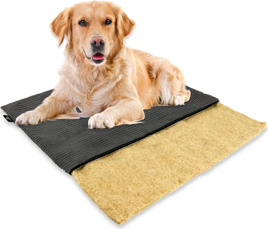 mümmi Dog Bed HANF Taglia 1: Materasso Ortopedico e Antiodore