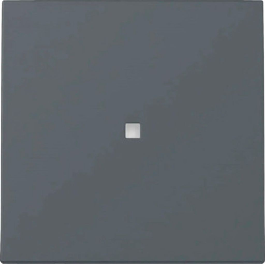 NEUE Generation Gira 329028 Wippe Kontroll E2 anthrazit
