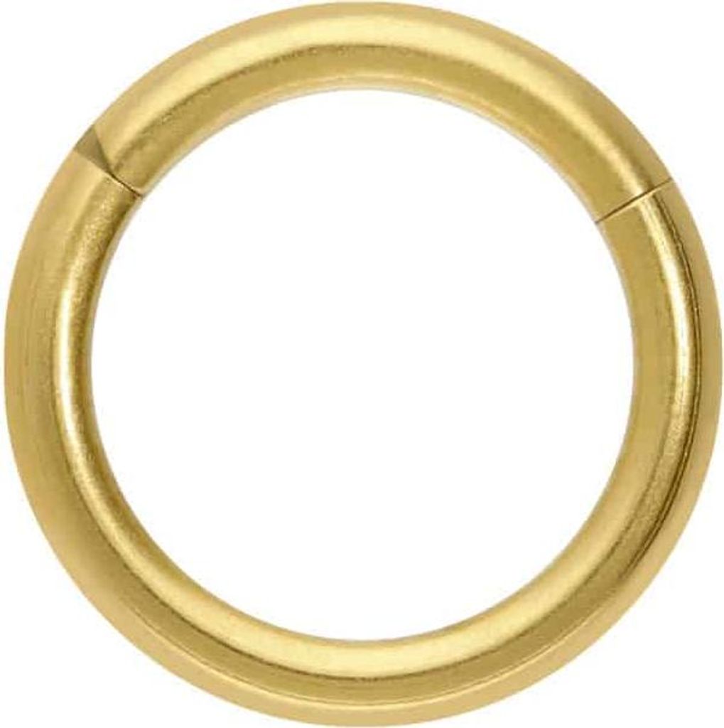 Ohrpiercing, Nasenpiercing, Septum Piercing Titan Segmentring Clicker MATT Gold Innendurchmesser: 8mm + Stabstärke: 1,6mm