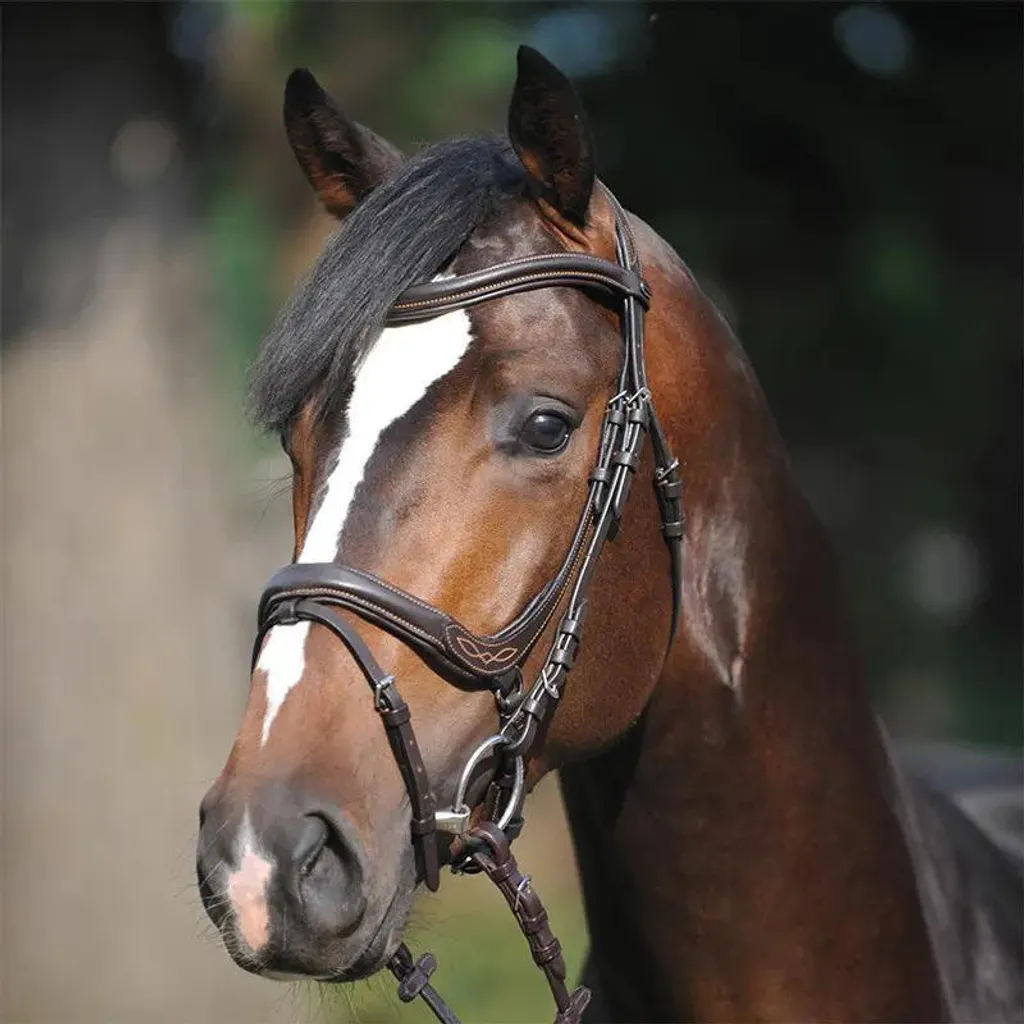 Bridon Ivy Kavalkade combiné anglais marron poney II - Cuir qualité
