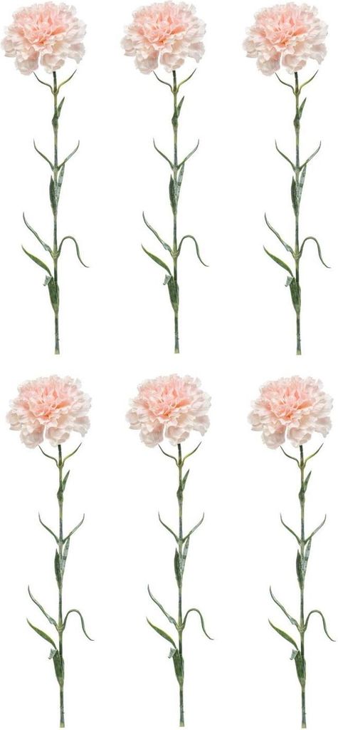 6er Set künstliche Nelken Dianthus spray H. 67cm weiß rosa Emerald Kunstblumen