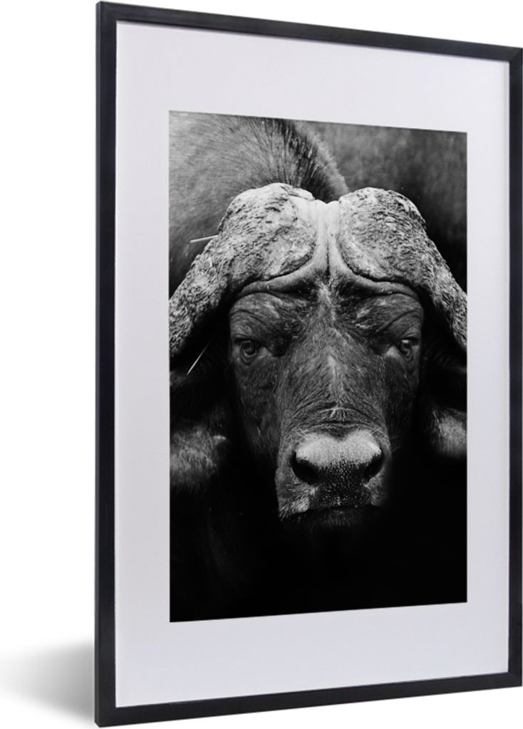 MuchoWow Gerahmtes Poster Tiere - Büffel - Schwarz - Weiß - Porträt 40x60 cm - Poster mit Schwarzem Bilderrahmen Wandposter Rahmen Foto Bilder...
