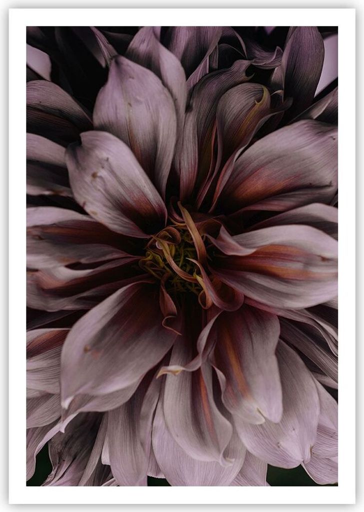 Poster - Poster ohne Rahmen - Blumenstrauß Künstlerisch Blume - 70x100 cm - Wand Bild - Wanddeko - Wandbilder - Kunstposter - Wandposter - Bilder...