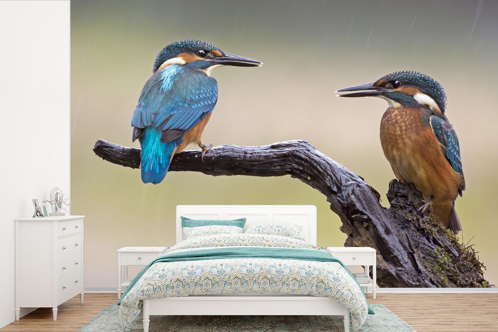 MuchoWow Fototapete für Wohnzimmer oder Schlafzimmer Wandtapete Vinyl Motivtapete Eisvogel - Blau - Orange - 450x300 cm - Gemusterte