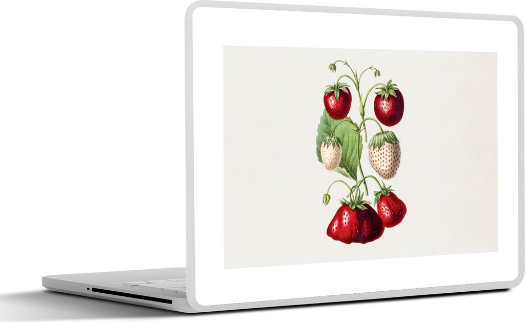 MuchoWow Laptop Aufkleber Sticker Cover Erdbeeren - Obst - Gesund 36.5x27.5 cm - Laptop-Sticker