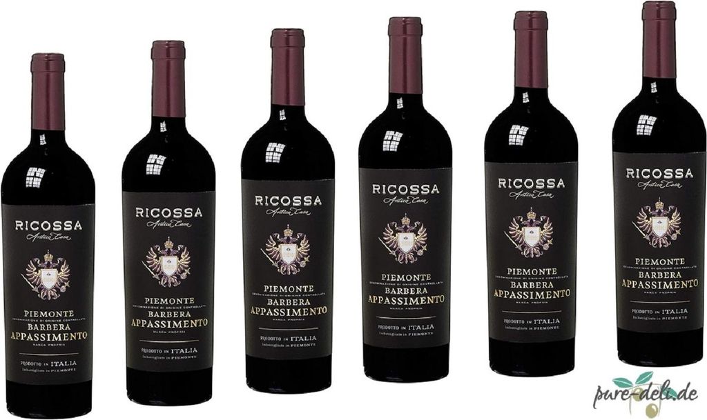 Ricossa Barbera DOC Appassimento 6 x 0,75 Ltr  JG: 2022 Produktbild 