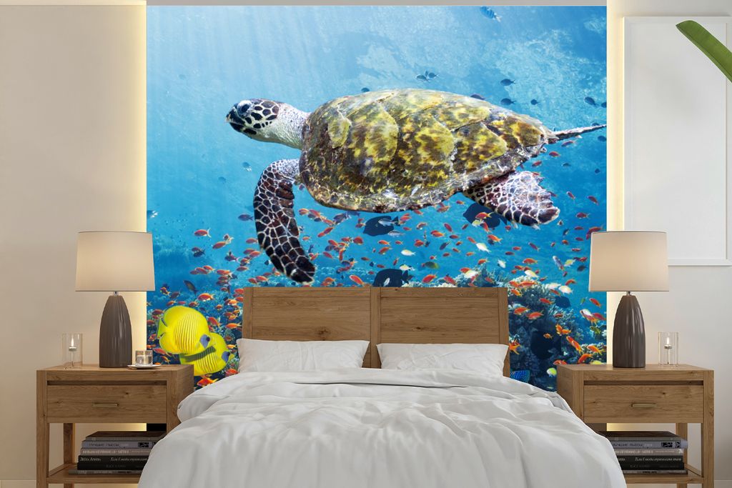 MuchoWow Fototapete für Wohnzimmer oder Schlafzimmer Wandtapete Vinyl Motivtapete Schildkröte am Korallenriff - 220x220 cm - Tapeten