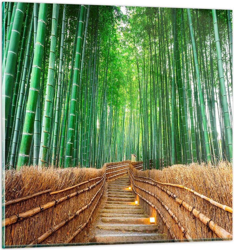 Bilder auf glas - Bambus Pflanze - 40x40cm - Glasbilder - Wandbilder - Kunstdruck - zum Aufhängen bereit - Wanddekoration aus Glas - Glas Bilder -...