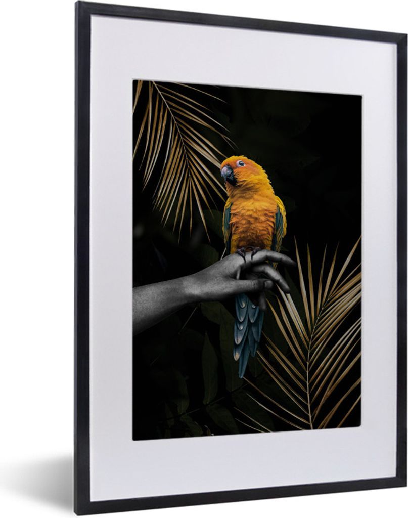 MuchoWow MuchoWow Gerahmtes Poster Papagei - Zweig - Dunkel 30x40 cm - Poster mit zchwarzem Bilderrahmen - Wandposter Schlafzimmer