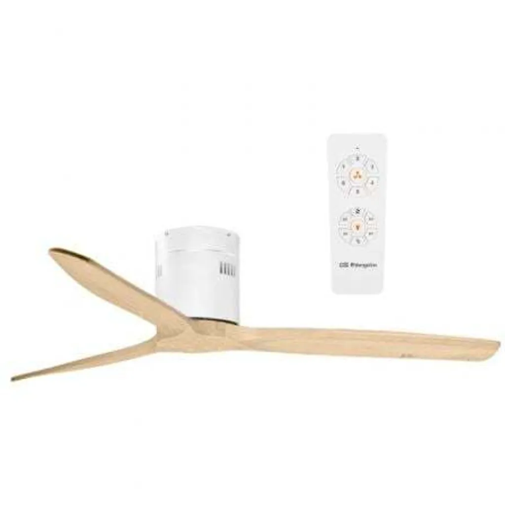 Ventilateur de plafond silencieux grand diamètre pour salon et séjour