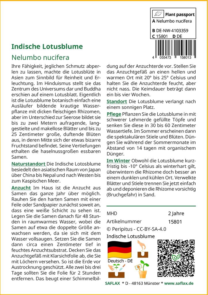 SAFLAX Anzucht Set - Indische Lotusblume - Nelumbo nucifera Produktbild 3