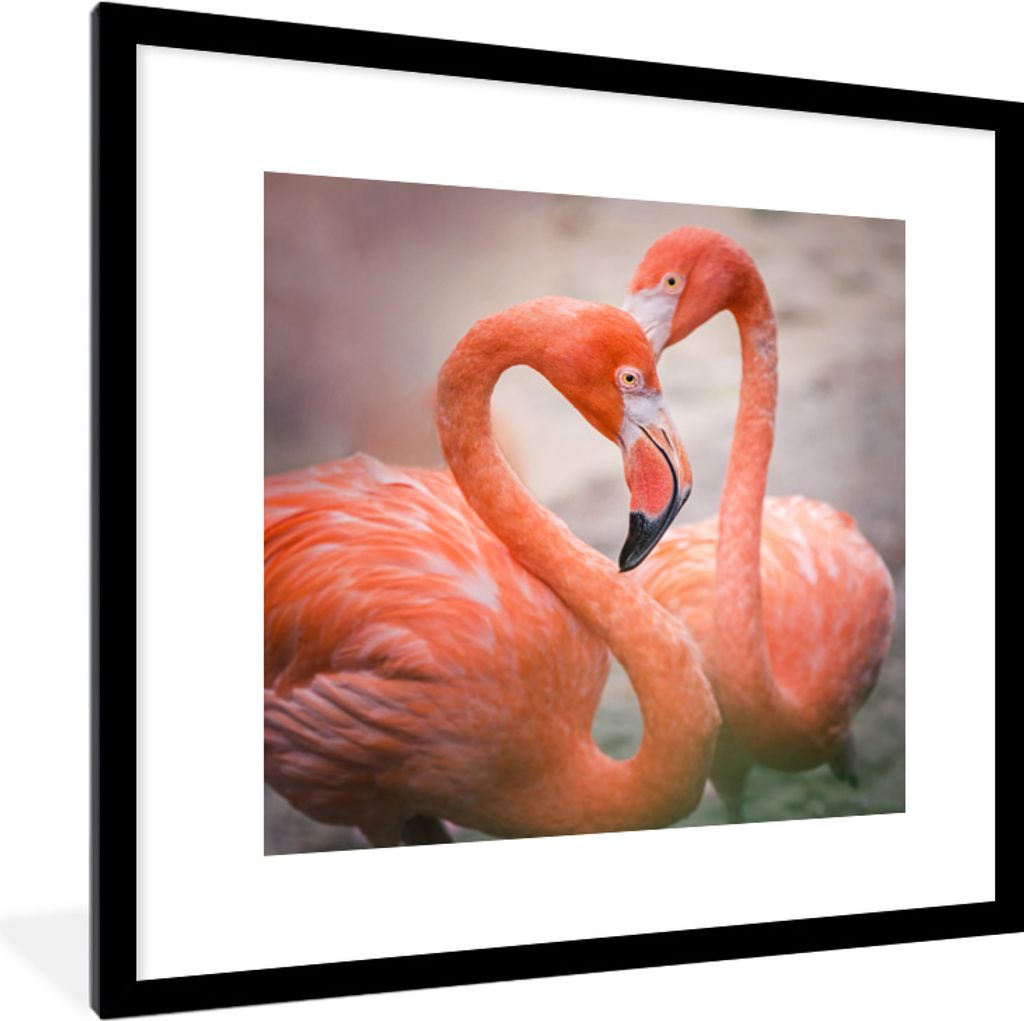MuchoWow MuchoWow Gerahmtes Poster Flamingos bilden mit ihren Hälsen ein Herz 40x40 cm - Poster mit zchwarzem Bilderrahmen - Poster - Plakat i...