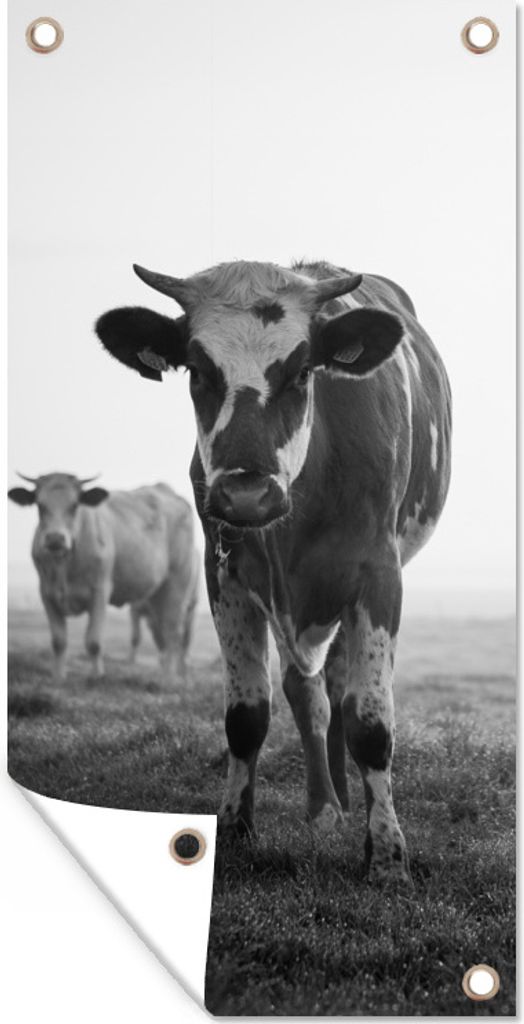 MuchoWow 80x160 cm Outdoor-Poster Gartendeko Sichtschutz Garten Poster für den Garten Kühe im Morgennebel schwarz-weiß Foto