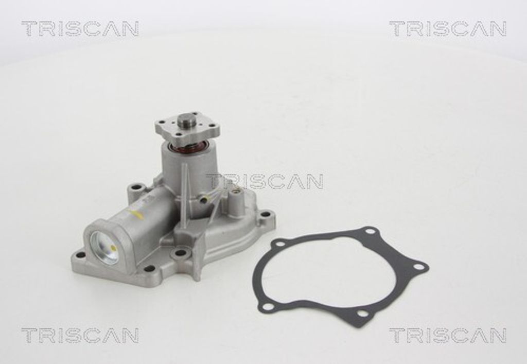 TRISCAN Wasserpumpe 8600 43014