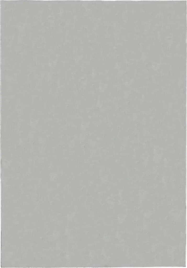 Tapis Softie Stone 60 x 110 cm : Confort Moelleux pour votre Intérieur