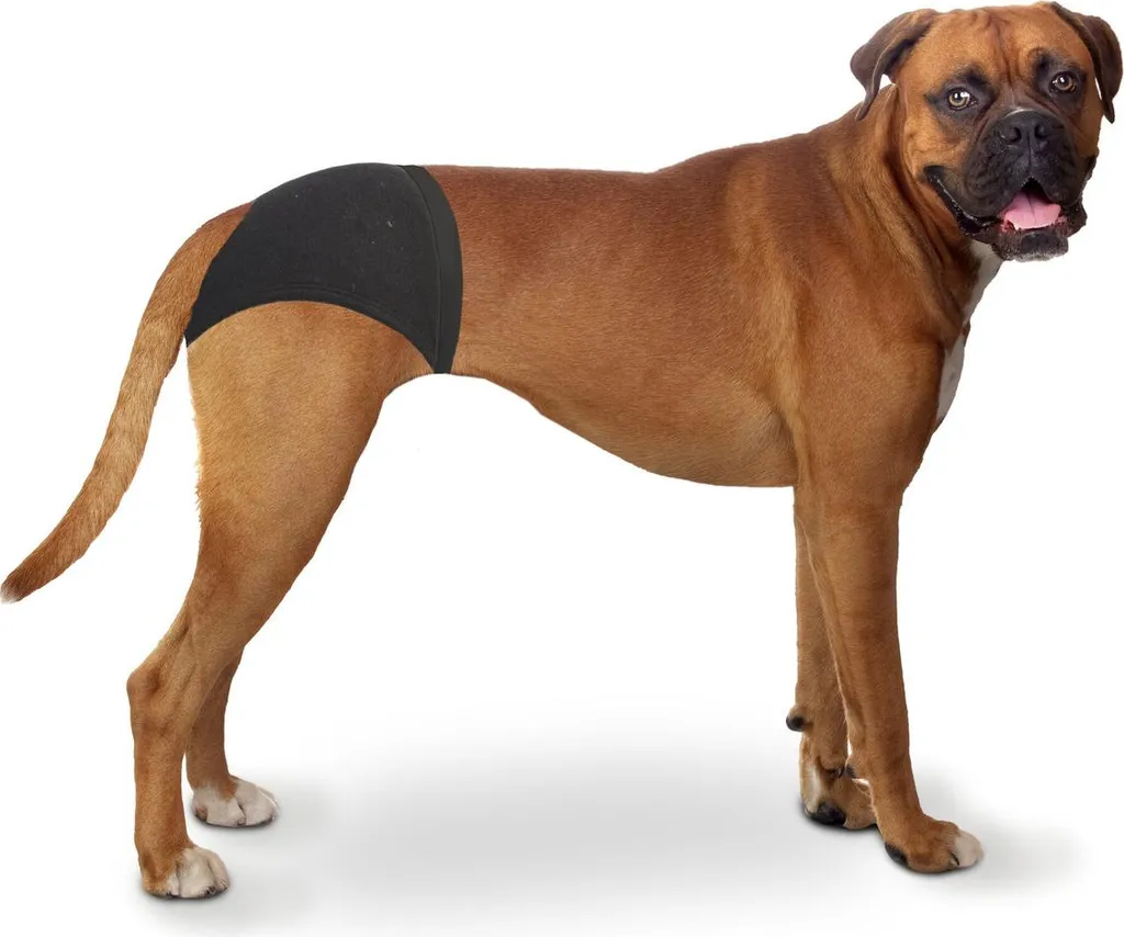 DUVO+ Play Panties L: 40-49cm con 3 inserti, 65249311