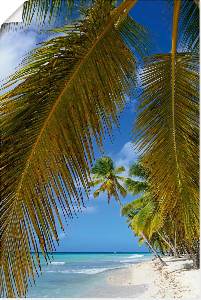 ARTland Poster Palmenstrand, Insel Isla Saona Größe: 40x60 cm