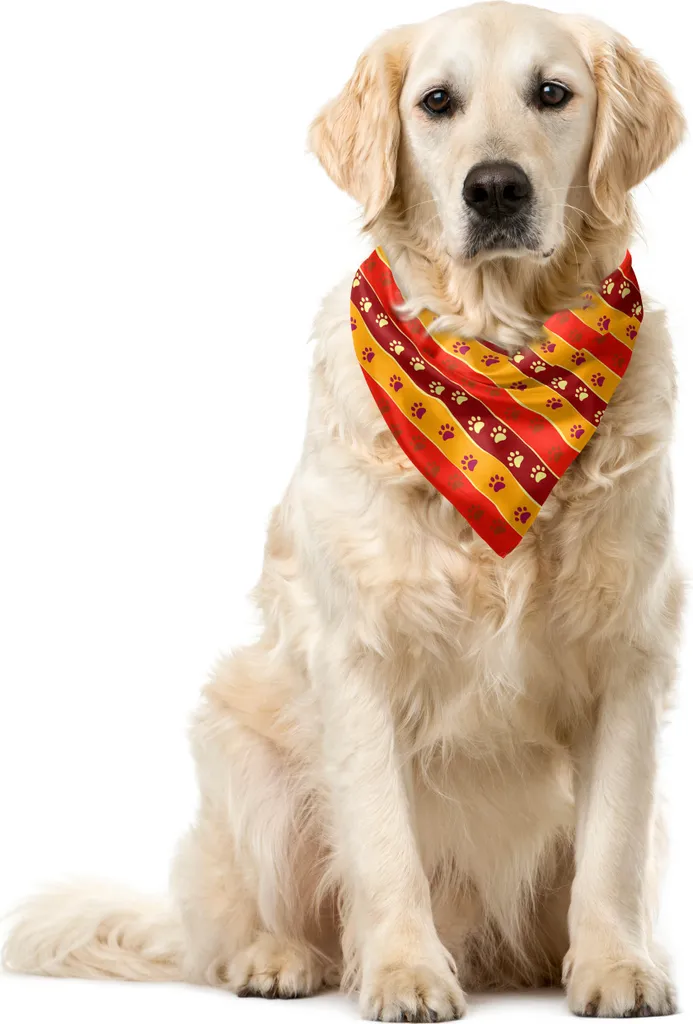 ABAKUHAUS Bandana Pet Multicolore Zampe - Look Instagrammable 40x40cm