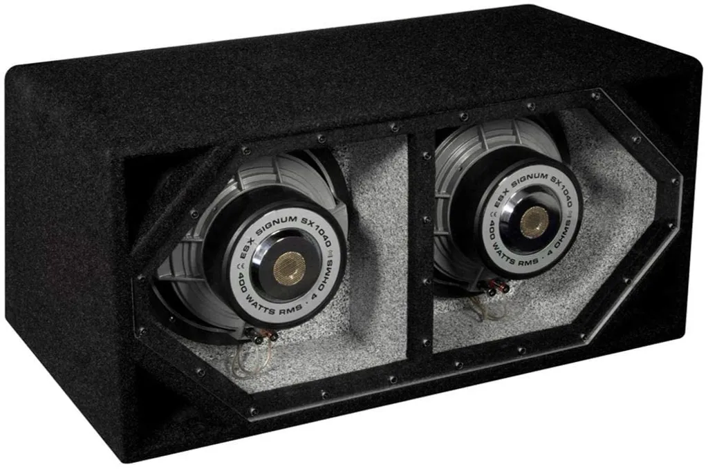 Système Basses Puissantes ESX SIGNUM SX-10DUAL pour Coffre de Voiture