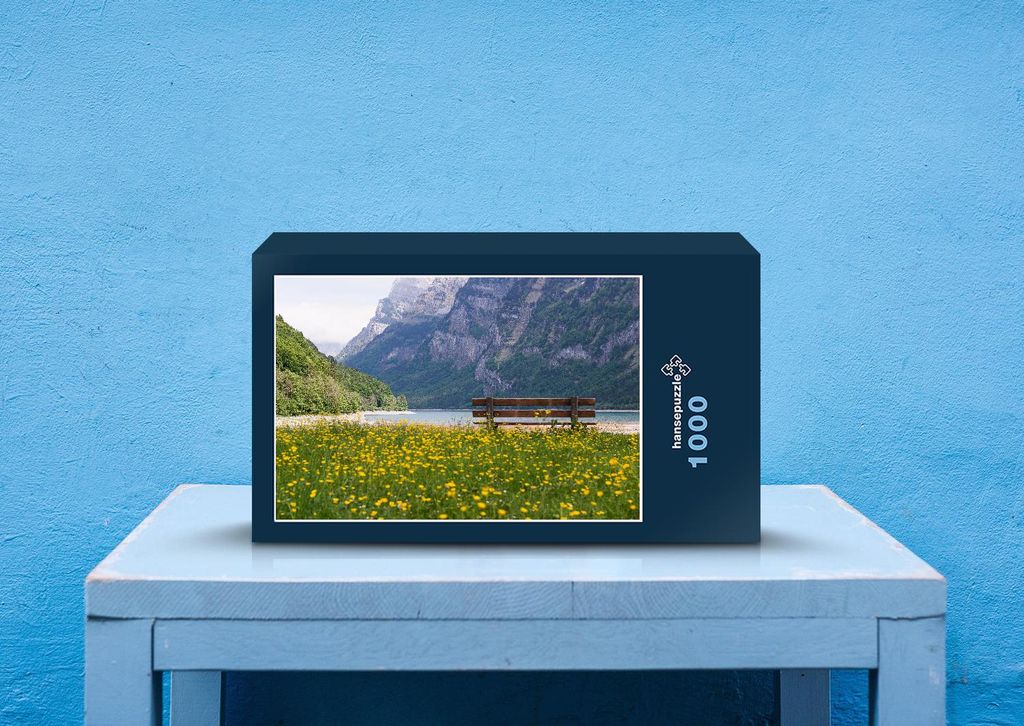 hansepuzzle 23748 - Bank am Ufer Puzzle, 1000 Teile, Natur, 60,0 x 46,0cm mit hochwertiger Aufbewahrung, Kartonbox und wiederverschließbarem Beutel