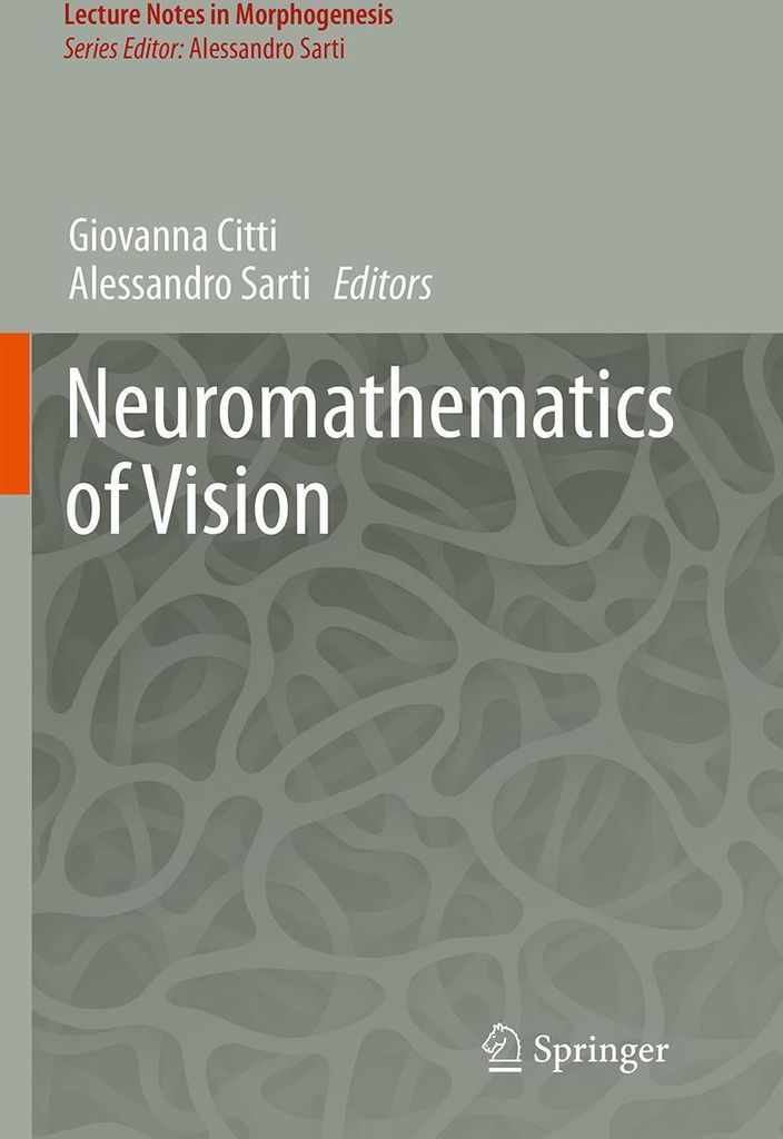 Neuromathematics of Vision