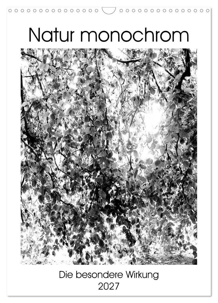 Natur monochrom Die besondere Wirkung (Wandkalender 2027 DIN A3 hoch), CALVENDO Monatskalender