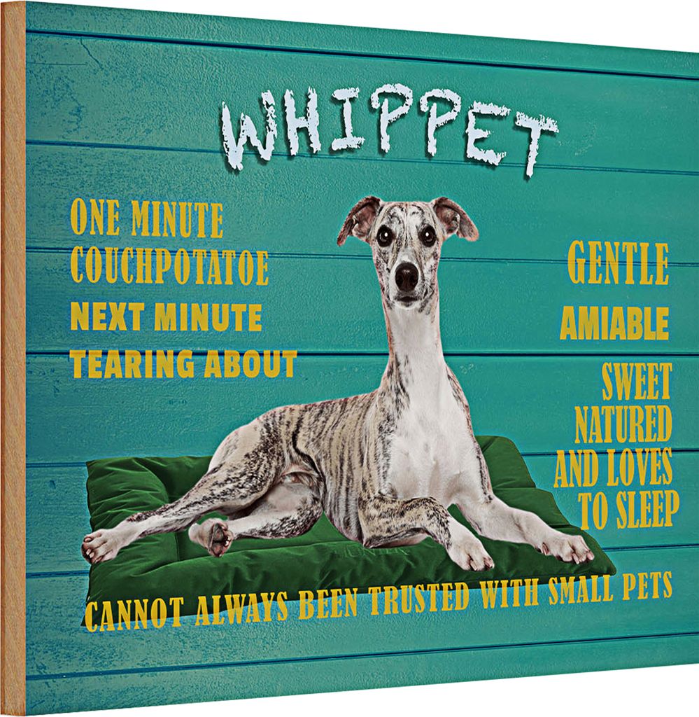 Holzschild Spruch 30x20cm Whippet Hund gentle amiable