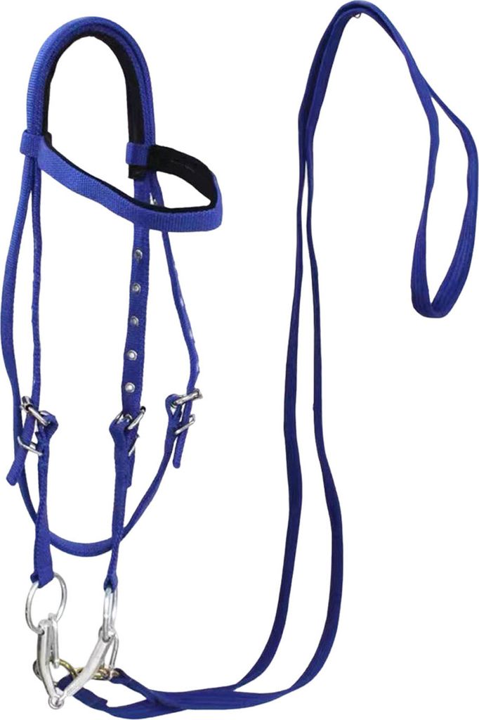 Pferdehalfter, verstellbarer Kinnhalter für Pferde, Plüsch, gepolstert, Trainingsausrüstung für Pferde, Reitzubehör