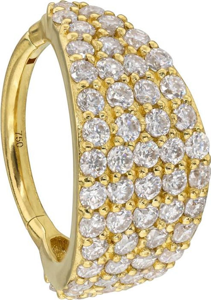 Ohrpiercing, Nasenpiercing, Septum Piercing 18 Karat Gold Segmentring Clicker MOISSANIT-SCHILD Gold | 18 Karat Innendurchmesser: 10mm