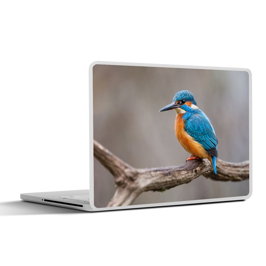 MuchoWow Laptop Aufkleber Sticker Cover Eisvogel - Zweige - Porträt 40x30 cm - Laptop Dekoration - Selbstklebend