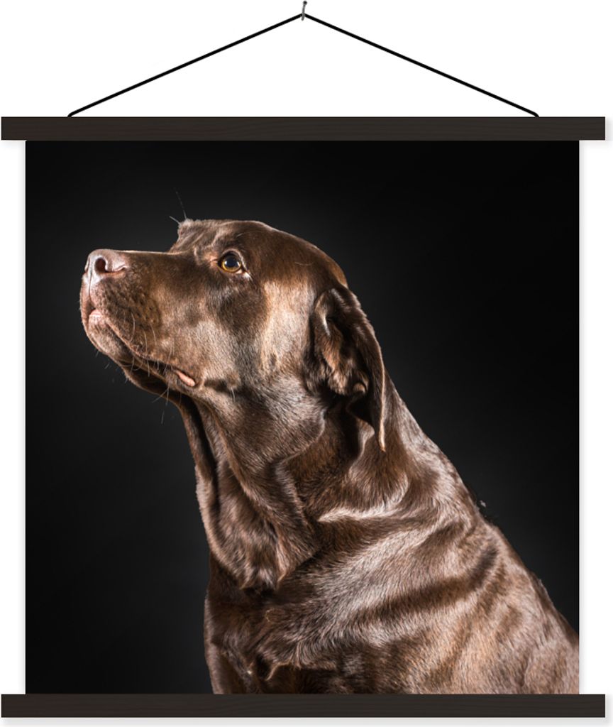 MuchoWow Textilposter Hund - Braun - Porträt 60x60 cm mit schwarzem Rahmen - Posteraufhänger