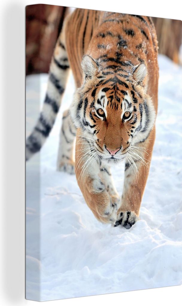 OneMillionCanvasses - Leinwandbilder - 90x140 cm, Tiger - Schnee - Tiere, Wandbilder Kunstdruck Wanddekoration - Foto auf Leinwand - Gemälde auf...
