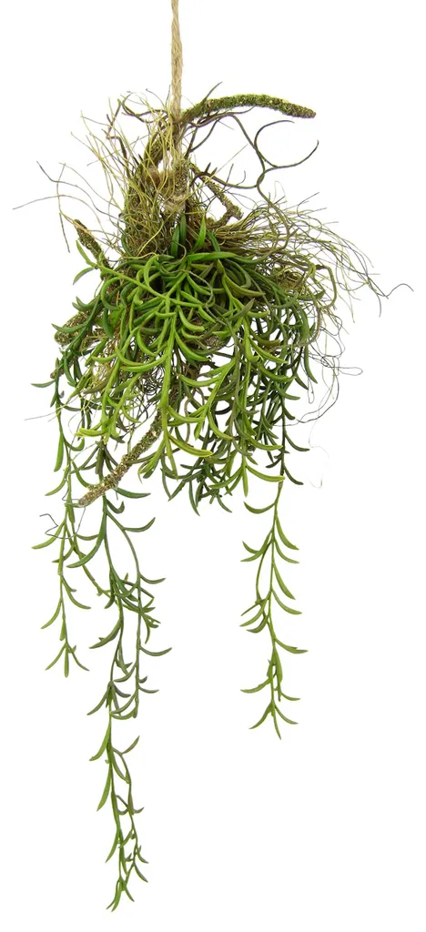 Suspension plante verte artificielle Tillandsia et mousse pour intérieur