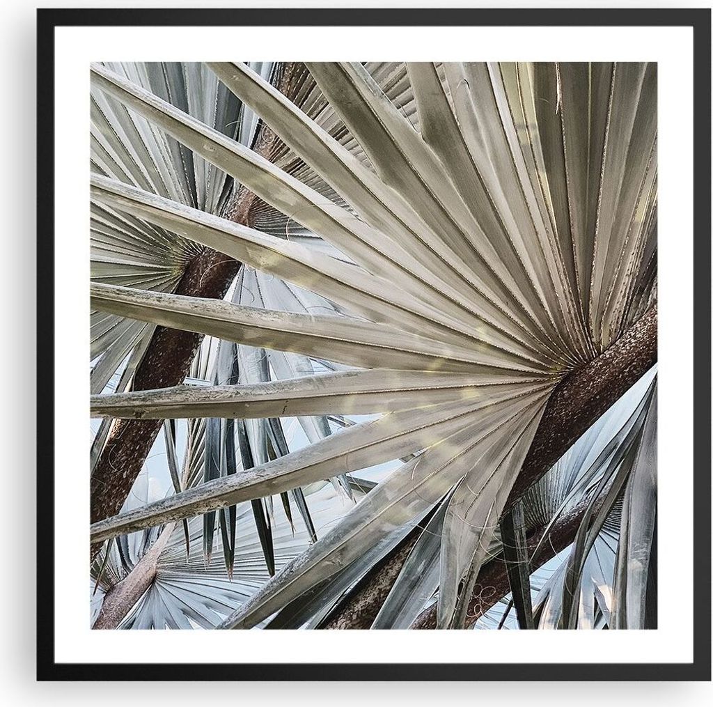 Gerahmtes Poster - Schwarzer Rahmen - Blatt Palme Natur - 60x60 cm - Wand Bild - Wanddeko - Wandbilder - Kunstposter - Wandposter - Bilderrahmen - ...