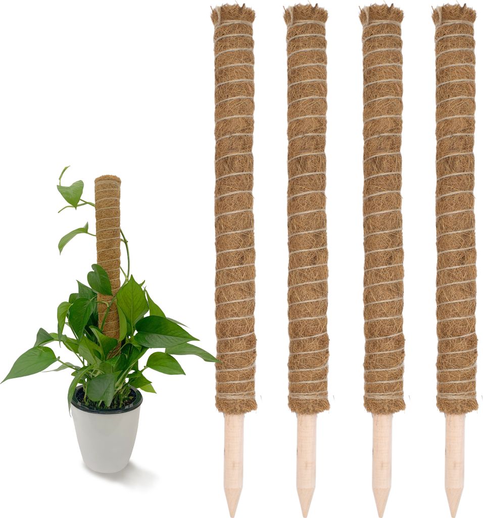 Supporto per arrampicata in cocco - 4 pezzi / 60 cm - Immagine del prodotto 