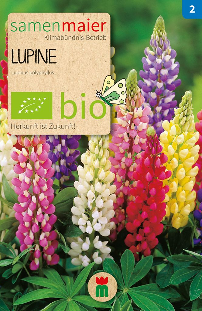 Lupine Mischung - Saatgut für zirka 10 Pflanzen