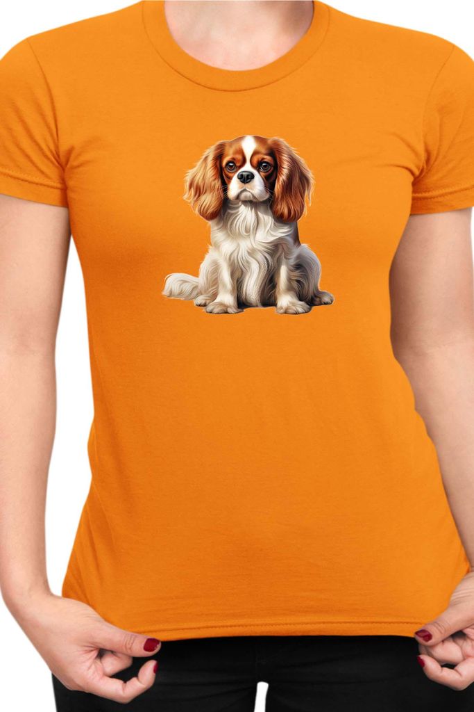 Damen T-Shirt Dogs Breeds Cavalier King Charles Spaniel Dog Breed 006, Lady S / Orange