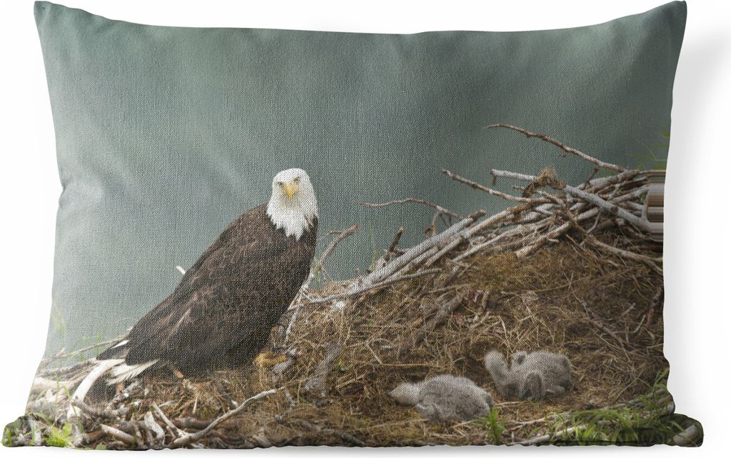 MuchoWow Outdoor Kissen - Ein Weißkopfseeadler mit einem Kükenpaar im Nest - 50x30 cm - Wetterfest - Lounge Kissen - Sofa kissen - Wohnzimmer D...