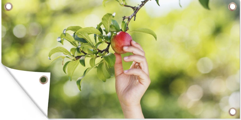 MuchoWow 160x80 cm Outdoor-Poster Gartendeko Sichtschutz Garten Poster für den Garten Obstbäume - Gemüsegarten - Apfel