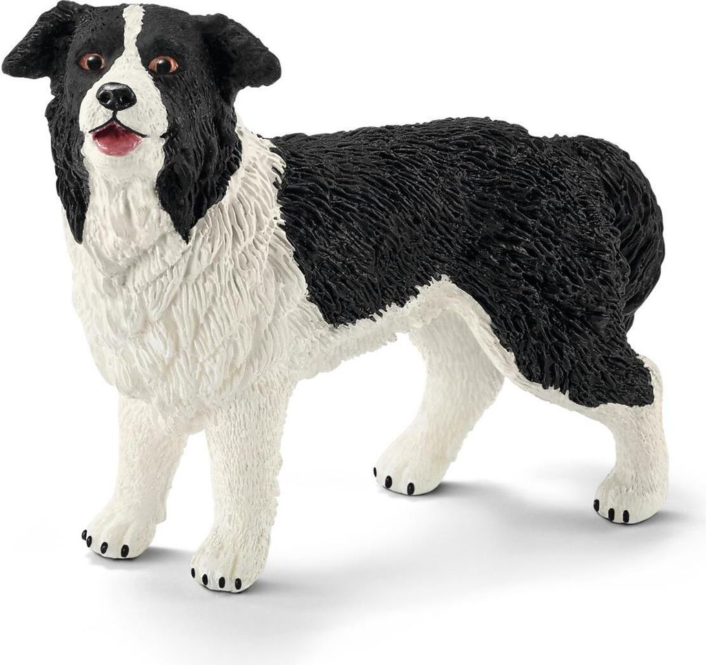 Schleich 16840 - Border kólia - Farmársky svet Obrázok produktu 