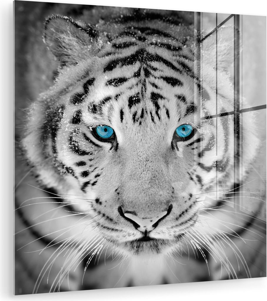 MuchoWow Glasbilder - Bilder auf Wandbild - Foto auf Glas Tiere - Tiger - Augen - Blau - Schwarz und weiß 40x40 cm Wanddekoration aus Glas - Acryl...
