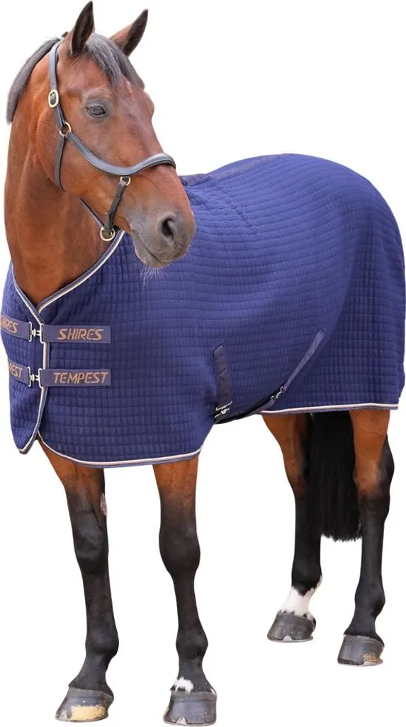 Couverture matelassée Bleu encre Tempest Original Tech pour cheval 152 cm